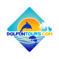 Dolfun Tours