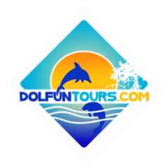 Dolfun Tours